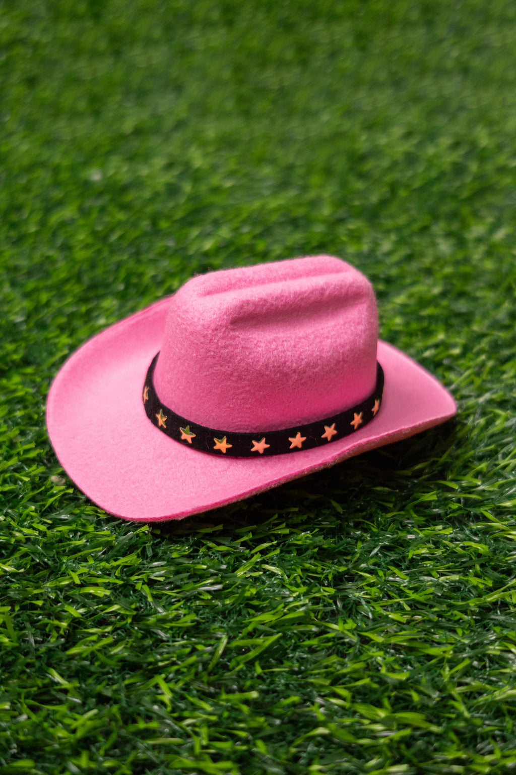 Sombrero Rosa Hembra