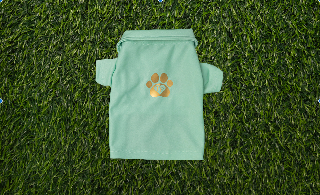 Camisa Polo Perro Hembra (Match)